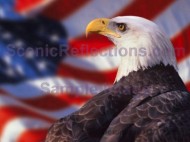 Patriotic Screen Saver screenshot